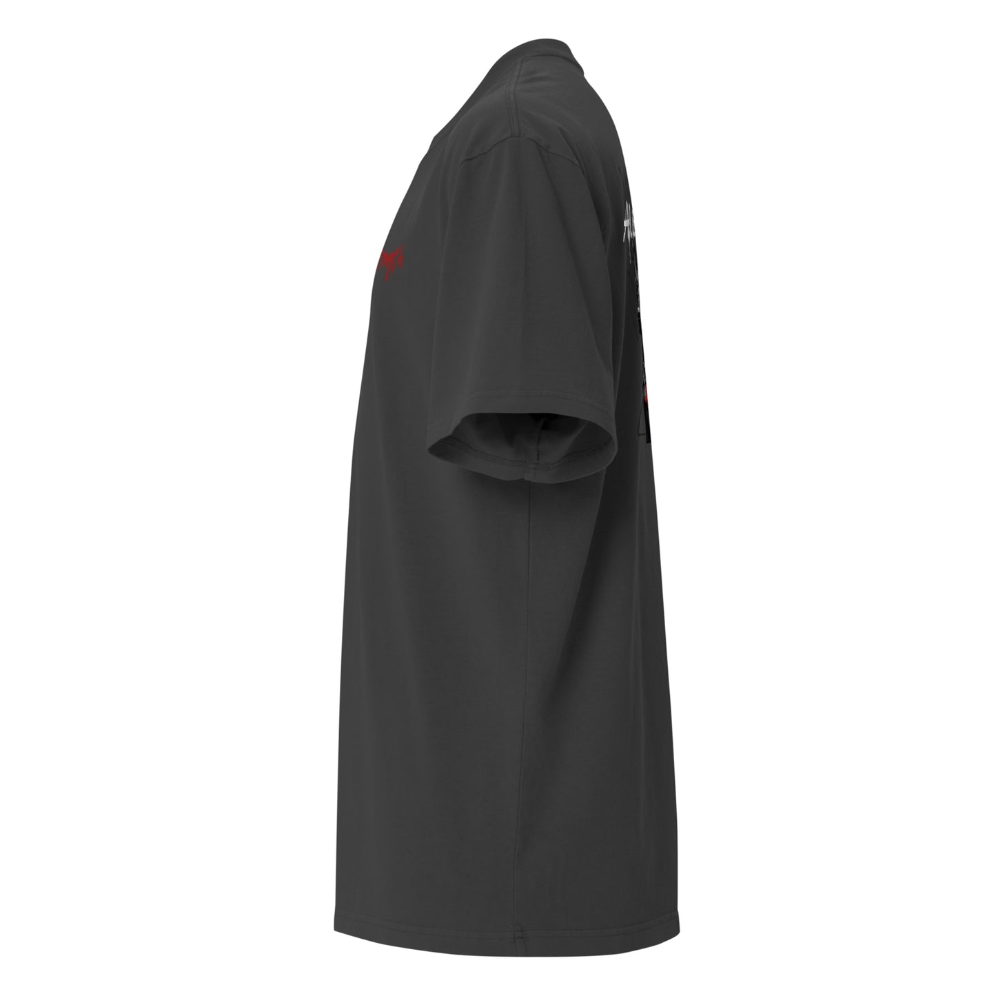 Oversized T-Shirt with washed look - Silent Guardiens