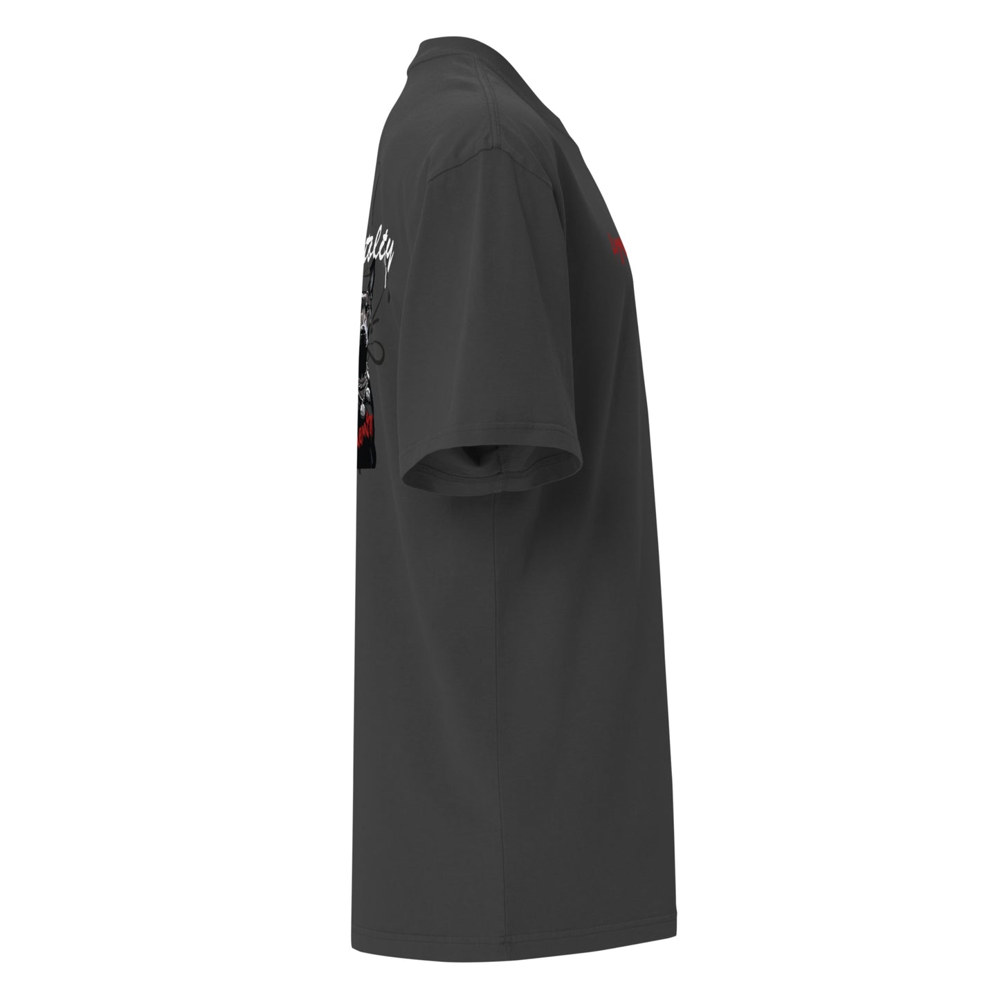 Oversized T-Shirt with washed look - Silent Guardiens