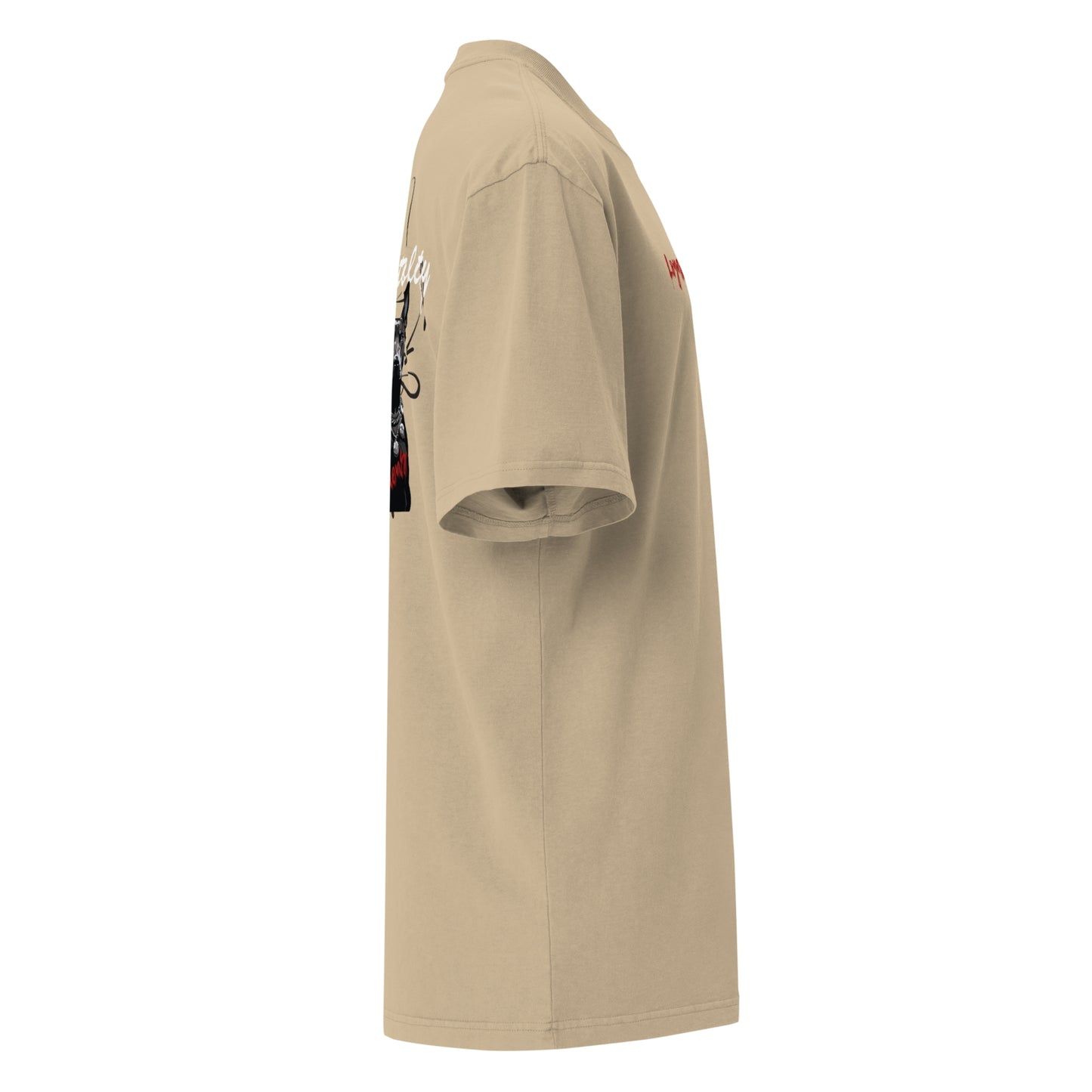 Oversized T-Shirt with washed look - Silent Guardiens