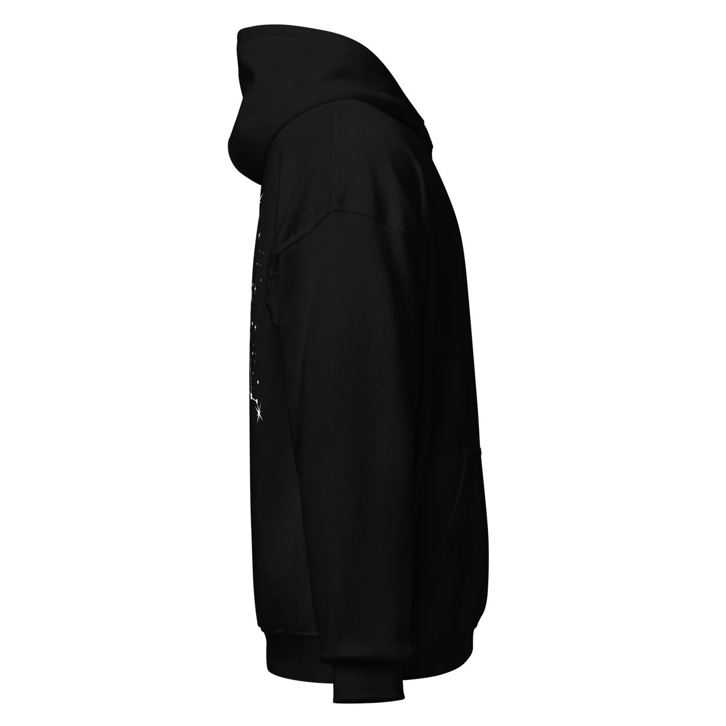 Unisex hoodie - GEMINI